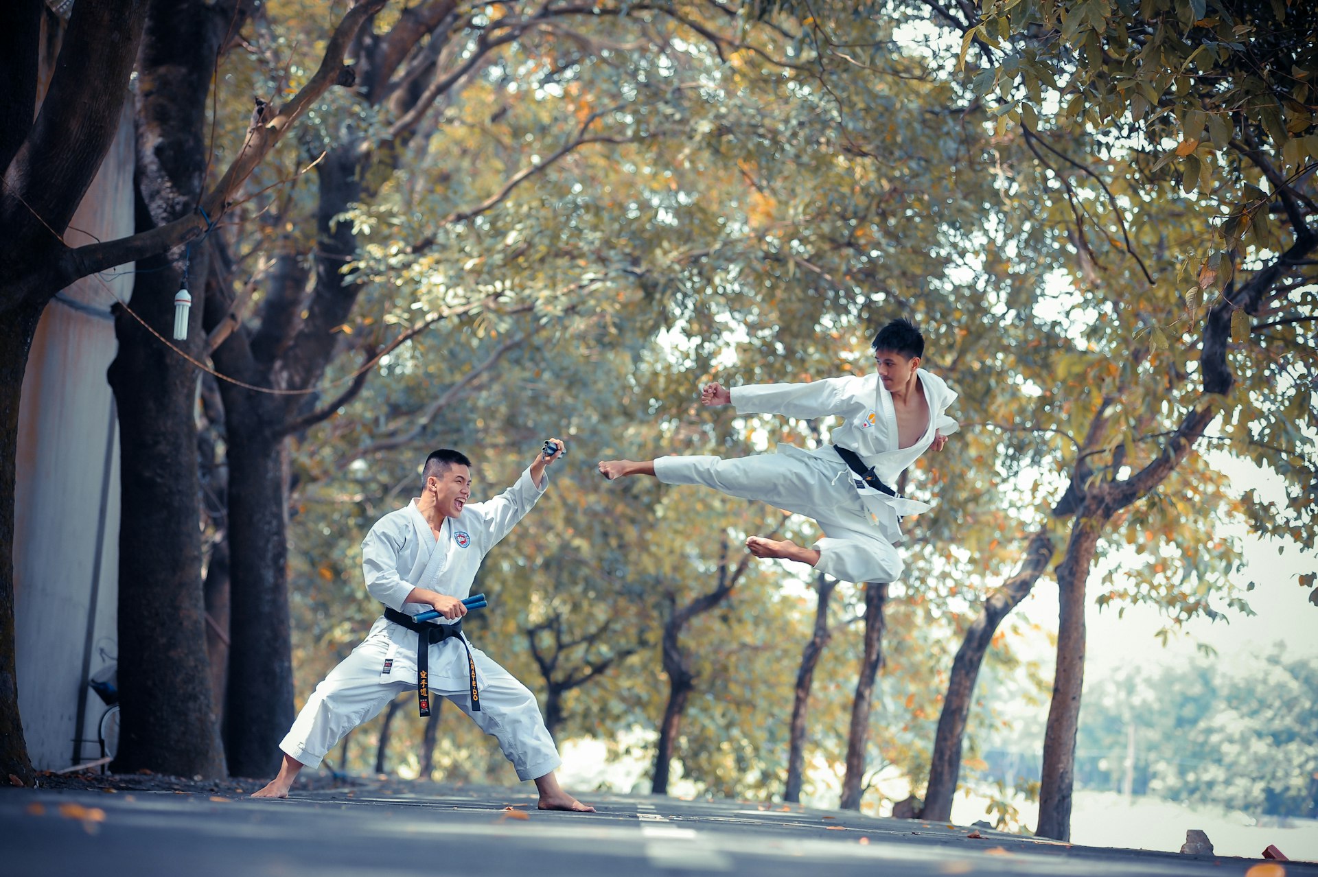 Taekwondo